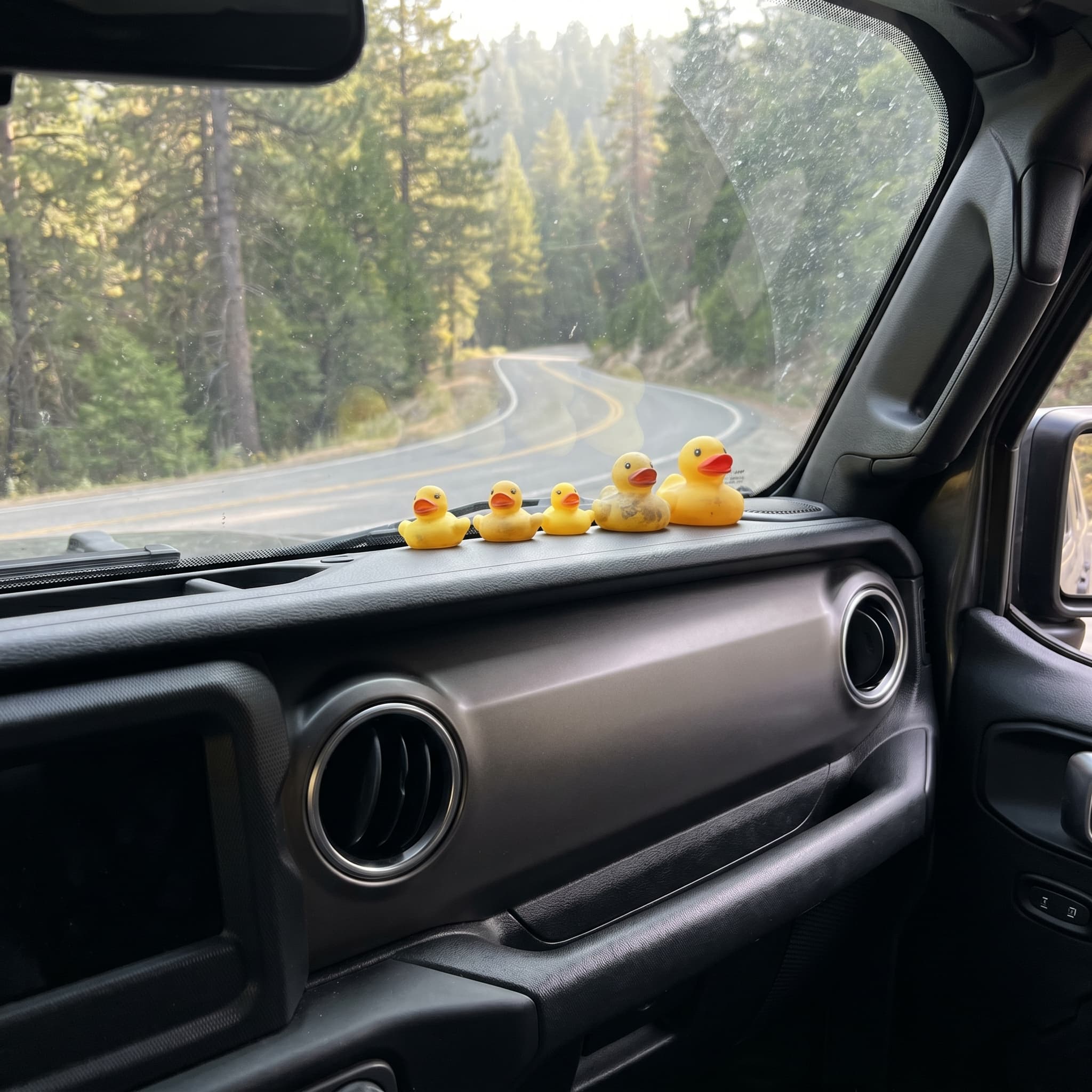 Five ducks lined up on a Jeep Wrangler dashboard — one DuckCrate original plus four curated community classics