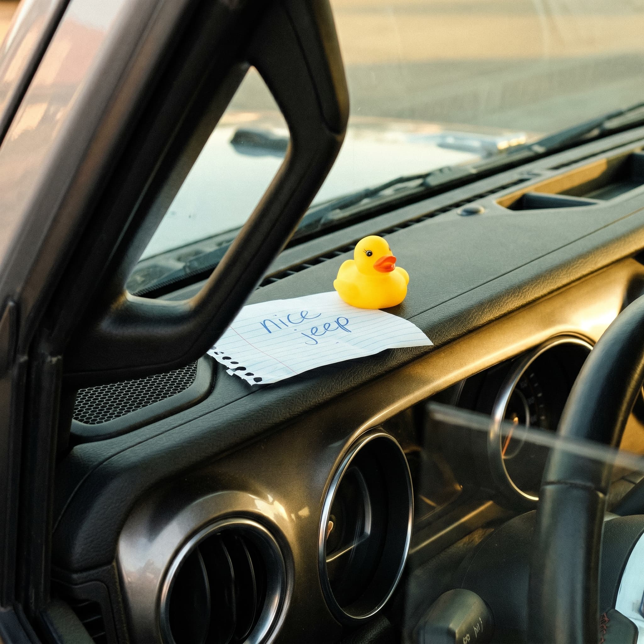Quack, quack — somebody made your day.